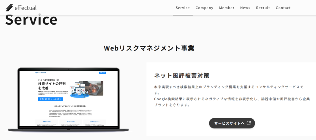 株式会社エフェクチュアルの事業概要