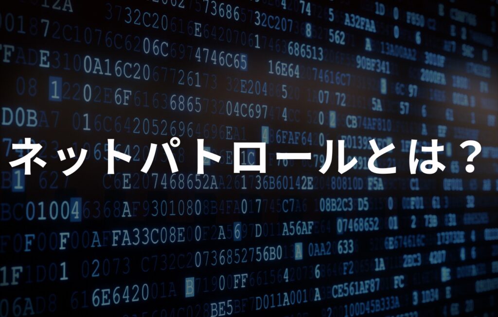 ネットパトロールとは？