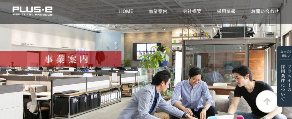 株式会社プラスイーの事業概要