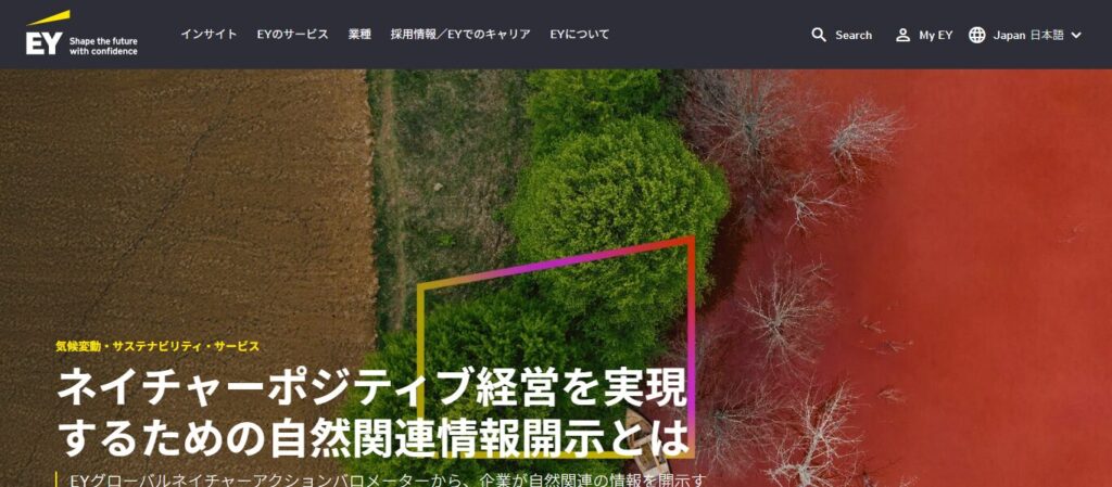 EYストラテジー・アンド・コンサルティング株式会社